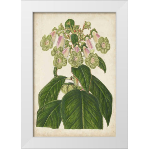 Foxglove Botanical White Modern Wood Framed Art Print by Stroobant