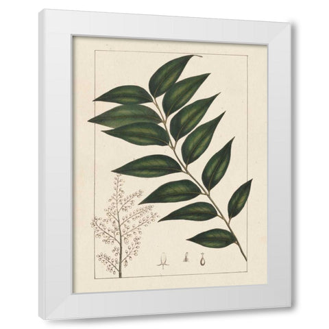Silva Leaves III White Modern Wood Framed Art Print by Silva, John