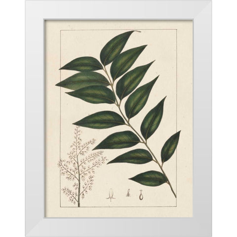Silva Leaves III White Modern Wood Framed Art Print by Silva, John