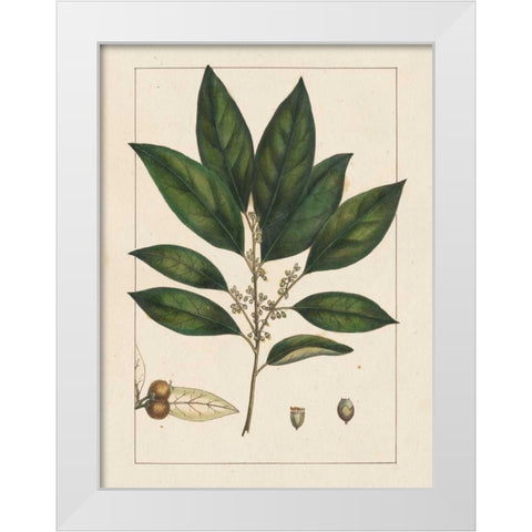 Silva Leaves IV White Modern Wood Framed Art Print by Silva, John