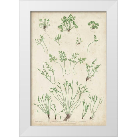 Bradbury Ferns I White Modern Wood Framed Art Print by Bradbury