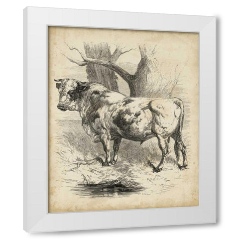 Pastoral Sketch II White Modern Wood Framed Art Print by Unknown