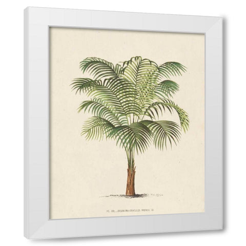 Les Palmiers II White Modern Wood Framed Art Print by Unknown