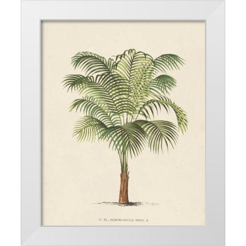 Les Palmiers II White Modern Wood Framed Art Print by Unknown