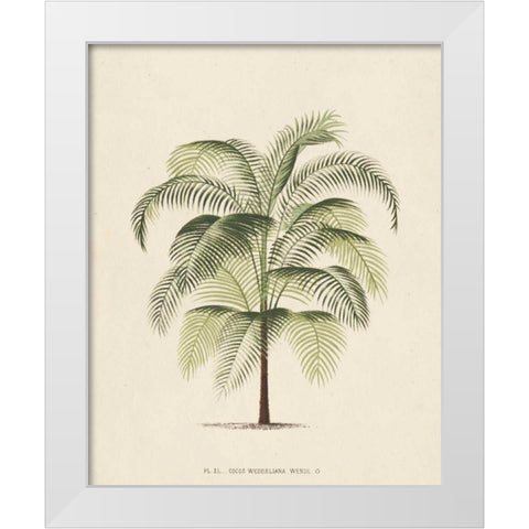 Les Palmiers III White Modern Wood Framed Art Print by Unknown