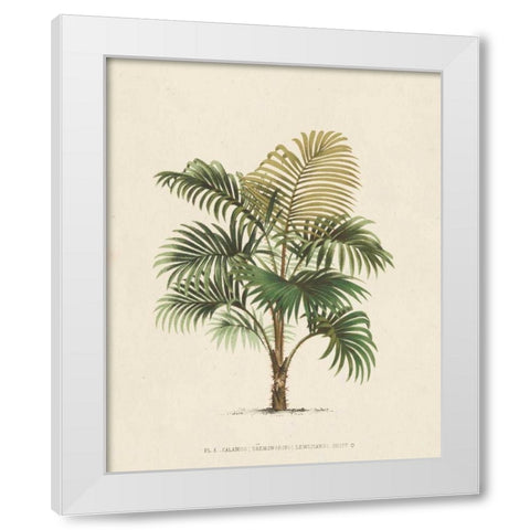Les Palmiers IV White Modern Wood Framed Art Print by Unknown