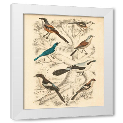 Avian Habitat V White Modern Wood Framed Art Print by Milne