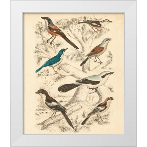 Avian Habitat V White Modern Wood Framed Art Print by Milne