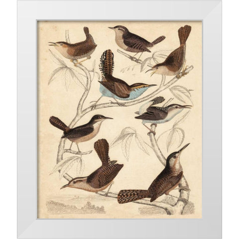 Avian Habitat VI White Modern Wood Framed Art Print by Milne