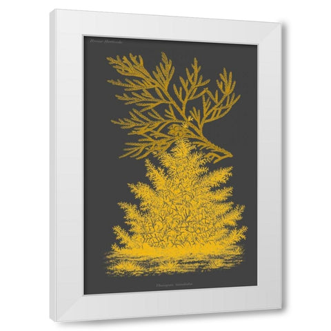 Trees and Leaves II White Modern Wood Framed Art Print by Vision Studio