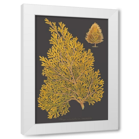 Trees and Leaves III White Modern Wood Framed Art Print by Vision Studio