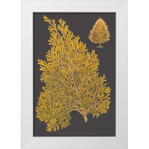 Trees and Leaves III White Modern Wood Framed Art Print by Vision Studio