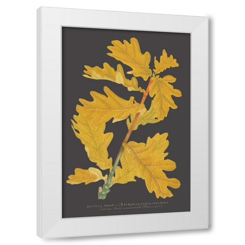 Trees and Leaves IV White Modern Wood Framed Art Print by Vision Studio