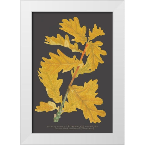 Trees and Leaves IV White Modern Wood Framed Art Print by Vision Studio