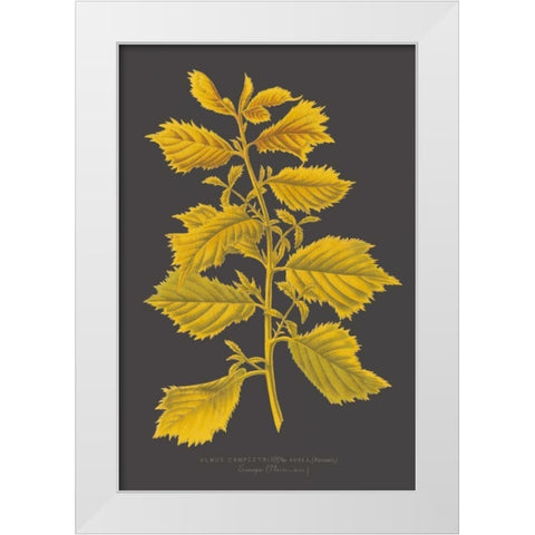 Trees and Leaves V White Modern Wood Framed Art Print by Vision Studio