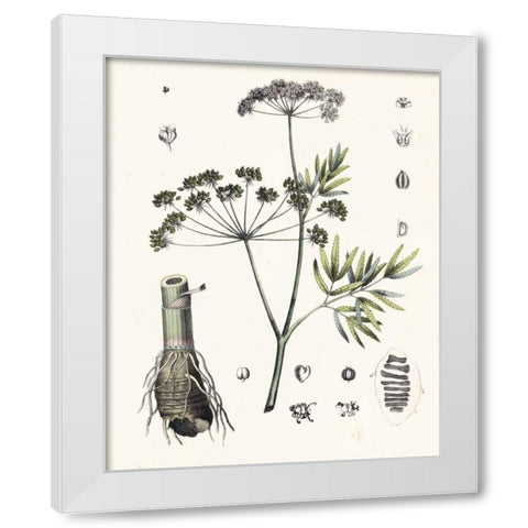 Berge Botanicals I White Modern Wood Framed Art Print by Berge