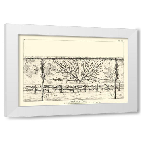 Antique Diagram for Espaliers I White Modern Wood Framed Art Print by Unknown
