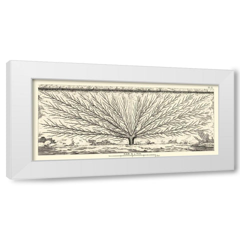 Antique Diagram for Espaliers III White Modern Wood Framed Art Print by Unknown