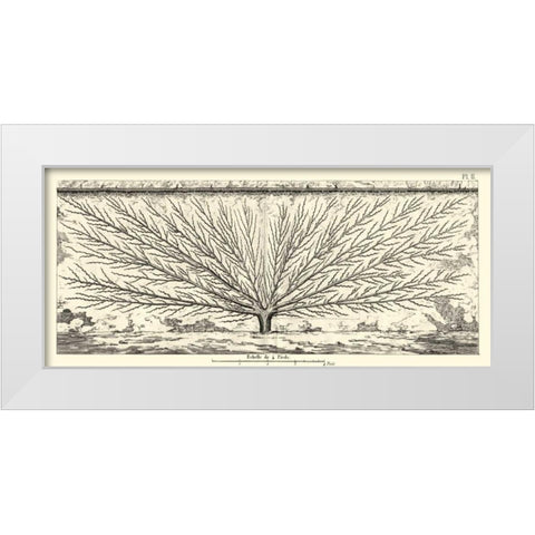 Antique Diagram for Espaliers III White Modern Wood Framed Art Print by Unknown