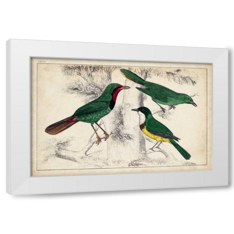 Tropical Bird Trio I White Modern Wood Framed Art Print by Unknown