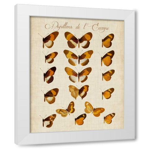 Papillons de LEurope I White Modern Wood Framed Art Print by Vision Studio