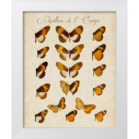 Papillons de LEurope I White Modern Wood Framed Art Print by Vision Studio