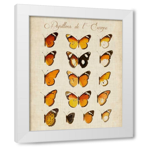 Papillons de LEurope II White Modern Wood Framed Art Print by Vision Studio