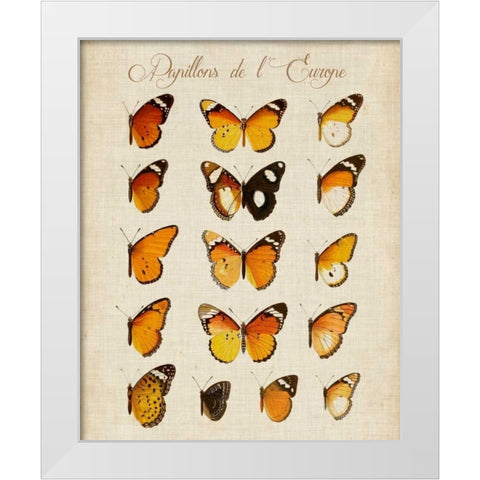 Papillons de LEurope II White Modern Wood Framed Art Print by Vision Studio