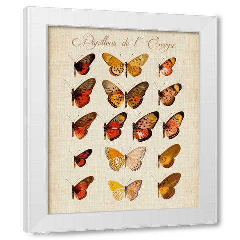 Papillons de LEurope III White Modern Wood Framed Art Print by Vision Studio