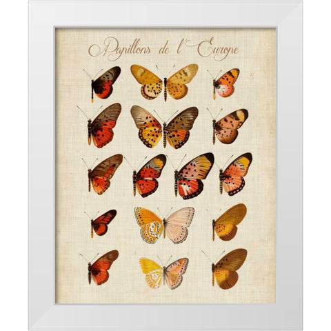 Papillons de LEurope III White Modern Wood Framed Art Print by Vision Studio