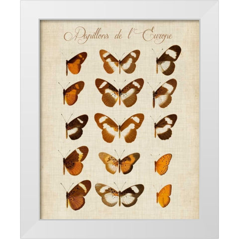 Papillons de LEurope IV White Modern Wood Framed Art Print by Vision Studio