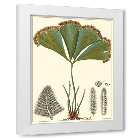 Small Foliage Botanique I White Modern Wood Framed Art Print by Turpin