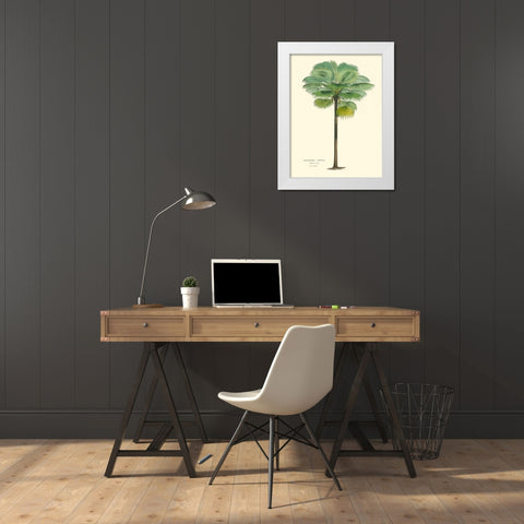 Small Palm of the Tropics II White Modern Wood Framed Art Print by Van Houtteano, Horto