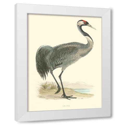 Small Morris Crane I White Modern Wood Framed Art Print by Morris