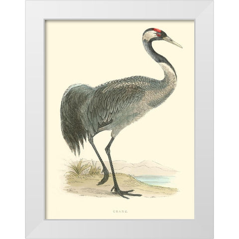 Small Morris Crane I White Modern Wood Framed Art Print by Morris