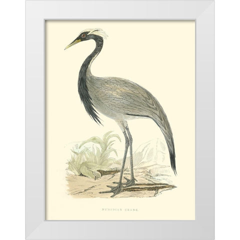 Small Morris Crane II White Modern Wood Framed Art Print by Morris