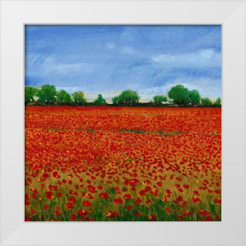 Field of Poppies I White Modern Wood Framed Art Print by OToole, Tim