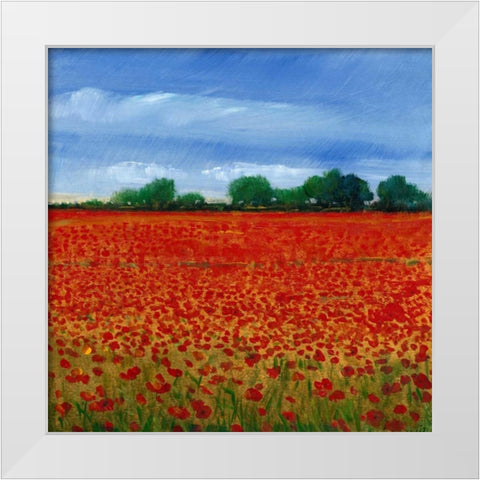 Field of Poppies II White Modern Wood Framed Art Print by OToole, Tim