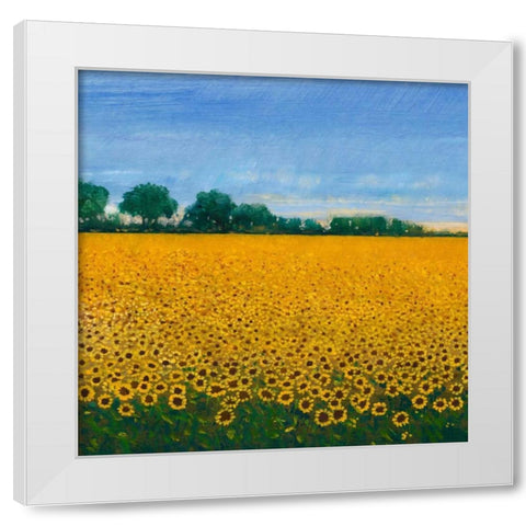 Field of Sunflowers I White Modern Wood Framed Art Print by OToole, Tim