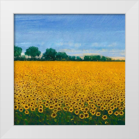 Field of Sunflowers I White Modern Wood Framed Art Print by OToole, Tim