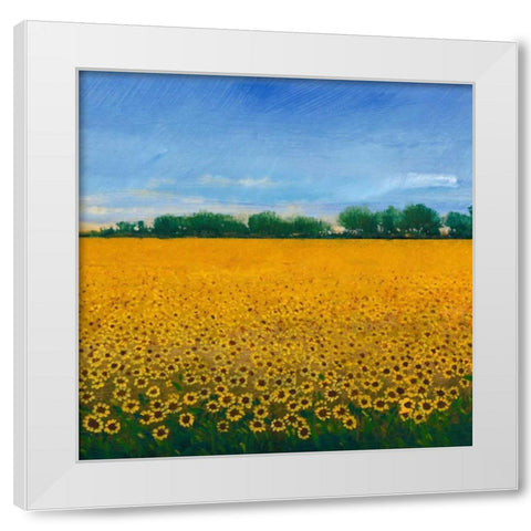 Field of Sunflowers II White Modern Wood Framed Art Print by OToole, Tim