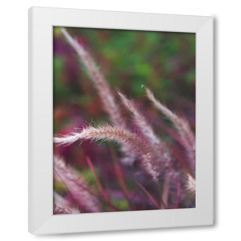 Purple Plumes I White Modern Wood Framed Art Print by Quintero, Sonja