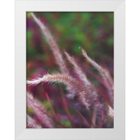 Purple Plumes I White Modern Wood Framed Art Print by Quintero, Sonja