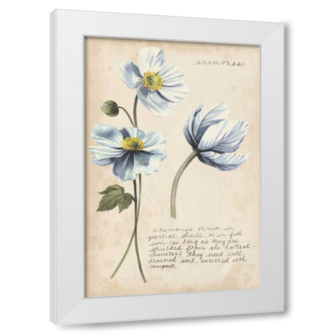 Garden Studies III White Modern Wood Framed Art Print by Popp, Grace