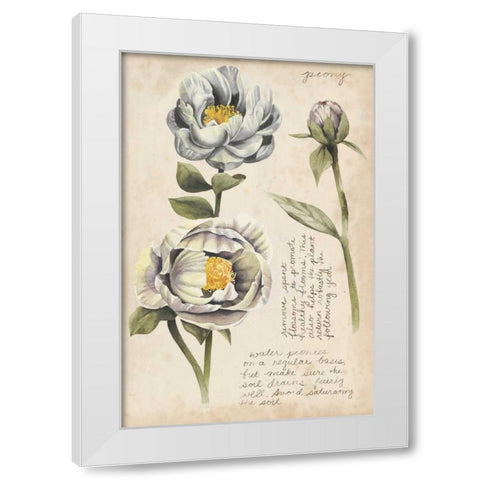 Garden Studies IV White Modern Wood Framed Art Print by Popp, Grace