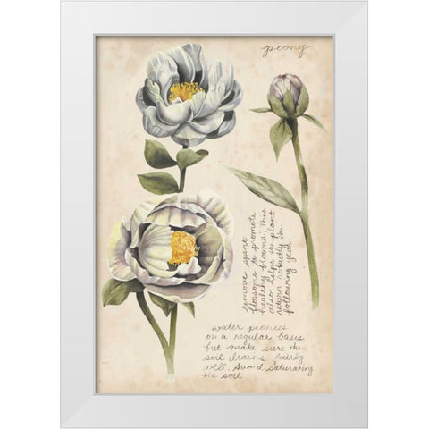 Garden Studies IV White Modern Wood Framed Art Print by Popp, Grace