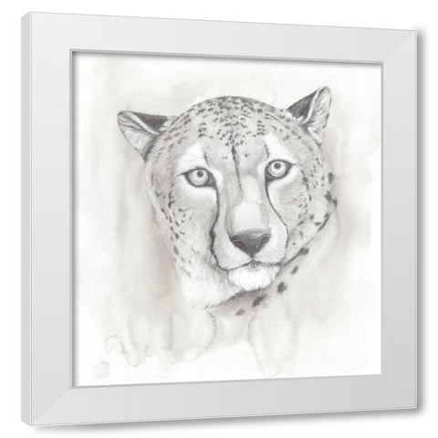 Big Cat Study I White Modern Wood Framed Art Print by Popp, Grace