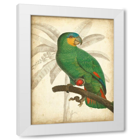 Custom Parrot and Palm I White Modern Wood Framed Art Print by Vision Studio