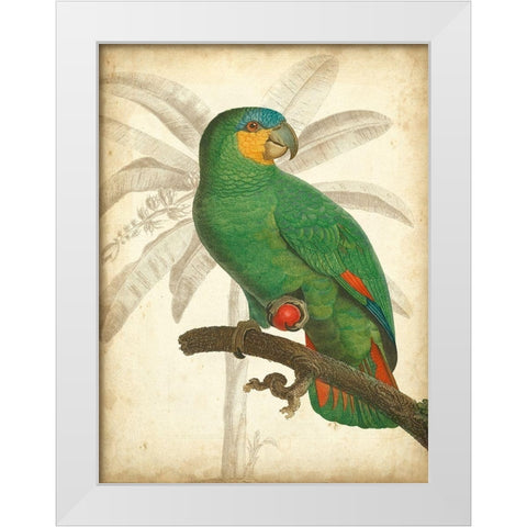 Custom Parrot and Palm I White Modern Wood Framed Art Print by Vision Studio