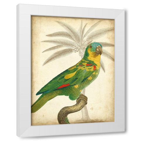 Custom Parrot and Palm II White Modern Wood Framed Art Print by Vision Studio